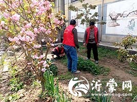 郯城县归昌乡踏查罂粟原植物 禁毒志愿者在行动